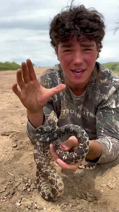 ATTACKED BY A SNAKE 🐍 😳