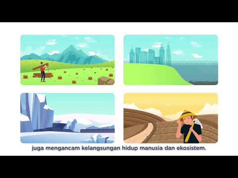 Video: Ulasan tentang bank 