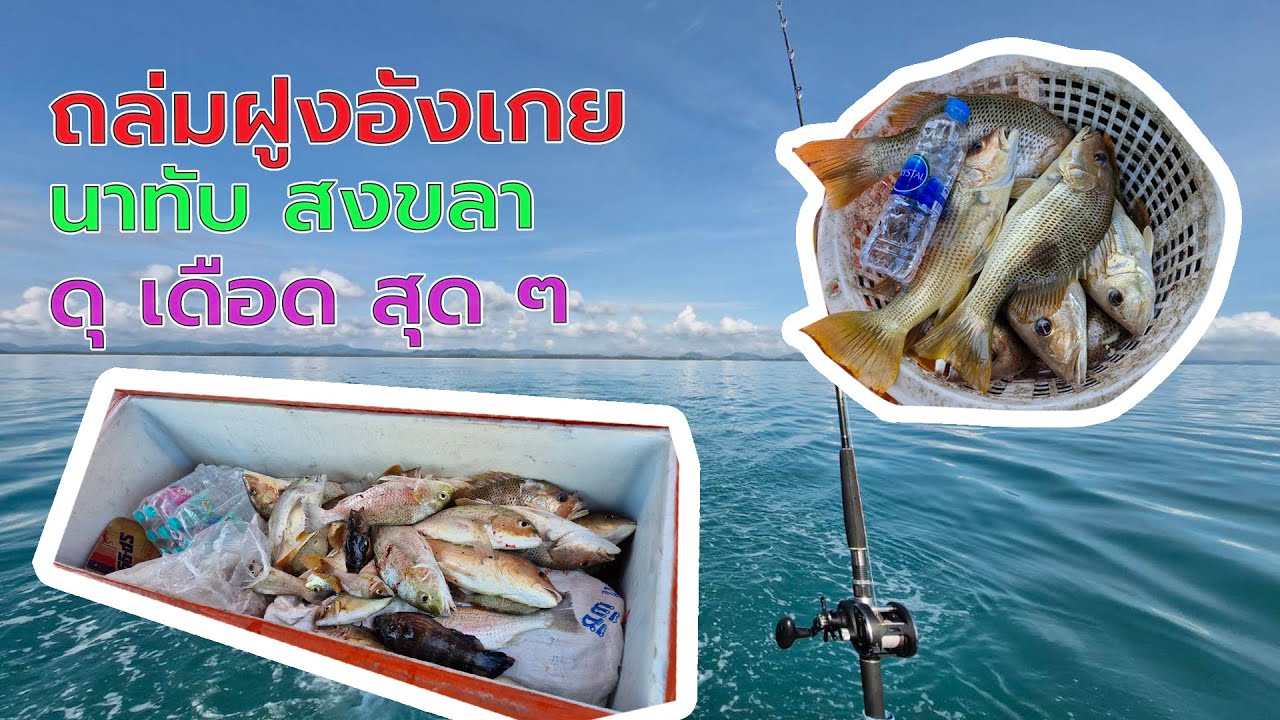 ตกปลาทะเลนาทับสงขลามันส์มาก ๆ #fishing #ตกปลา #fishingvideo #ตกปลาทะเล