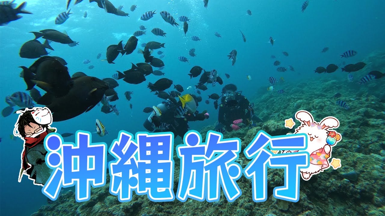 towacoくんと沖縄旅行に行ってダイビングしたりご飯食べたり水族館行ったりするだけの動画