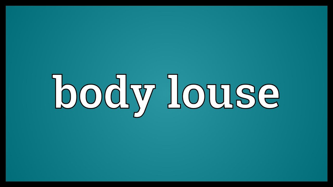 Body louse Meaning