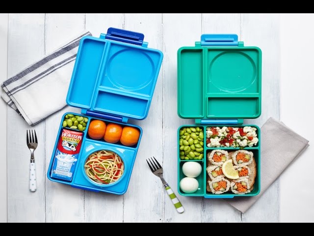 HAIXIN Bento Box for Kids - Insulated Lunch Box with Thermos for