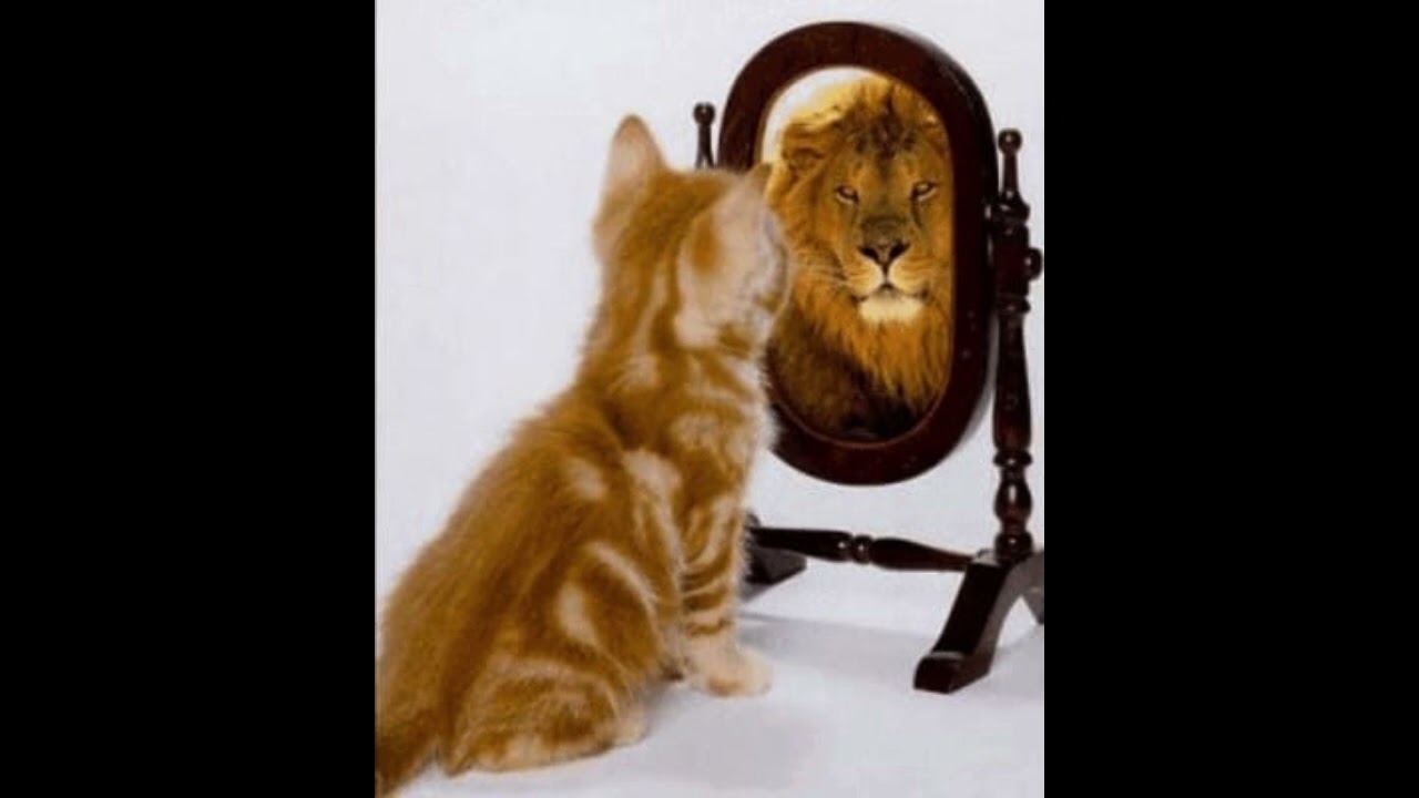 Maria Valtorta – Quaderni - 10 novembre 1943: Dove è orgoglio non è Dio. Dove è superbia non è Fede.