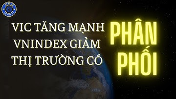 VIC TĂNG MẠNH. VNINDEX GIẢM  THỊ TRƯỜNG CÓ PHÂN PHỐI - QUANG DŨNG DBD