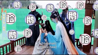 Trivia: Bailu learns the popular vibrato dance to make Luo Yunxi laugh, Bailu seduces Luo Yunxi