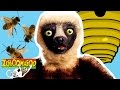 Zoboomafoo 140 - Bzzz | HD | Full Episode