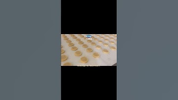 Skywin Wire-cut Cookie Making Machine! #biscuit #machine #factory #machinefactory #cookie