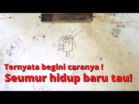 Video: Cara Memohon Cat Spray pada Plastik: 14 Langkah