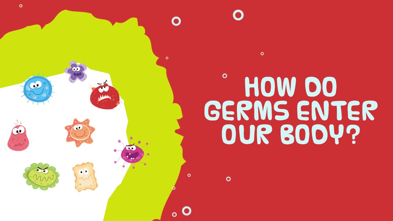 Interesting Fact About Human Body How Do Germs Enter Our Body? YouTube