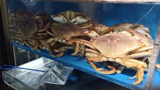 The $900.00 King Crab at "O Mandarin"  Chinese Restaurant in Hicksville, NY