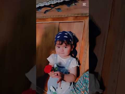 محمد الجبوري ورده وشايل ورده