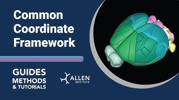 Common Coordinates Framework | Tutorial