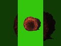 Magic Power Lightning Effects | Free 4K VFX Pack
