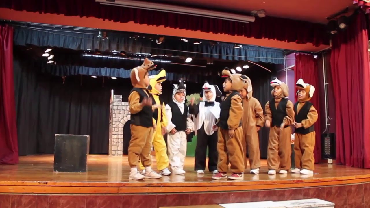 Lio de Perros, Gatos y Ratones - YouTube