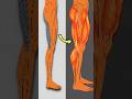 The 2-Move Fix for Flat Legs