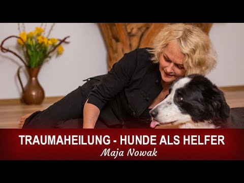 Traumaheilung - Hunde