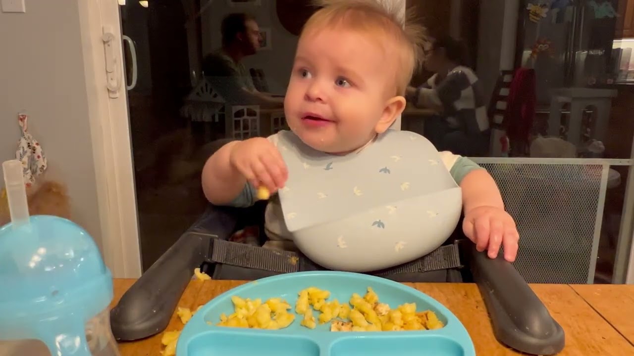 10-месячный малыш пробует домашние макароны с курицей и сыром! (Самые милые на свете!!)