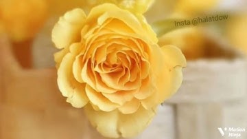 واعبدوا الله الربع التاني من الجزء الخامس من سورة النساء الحصري المعلم للقران 🌿