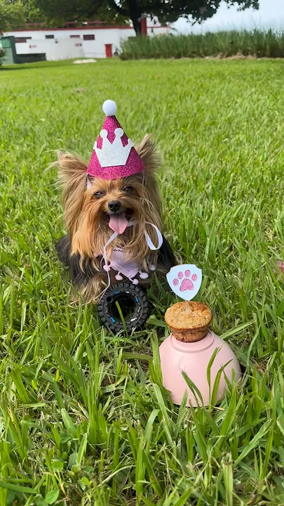 Parabéns pra Nina!!! 8 aninhos!!!