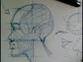 Drawing Head & Face Proportions | How to draw the head in profile view