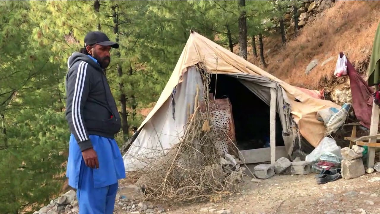 Taste of Camping Life in a Pakistani Village | Cooking and Hunting Full Day | Touqeer Rafique