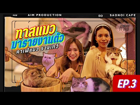 #สาวน้อยคาเฟ่ ep.3 | ทาสแมว มารายงานตัว !! #คาเฟ่แมวราชเทวี