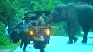 The fierce elephant's attack  The people in the lorry are running