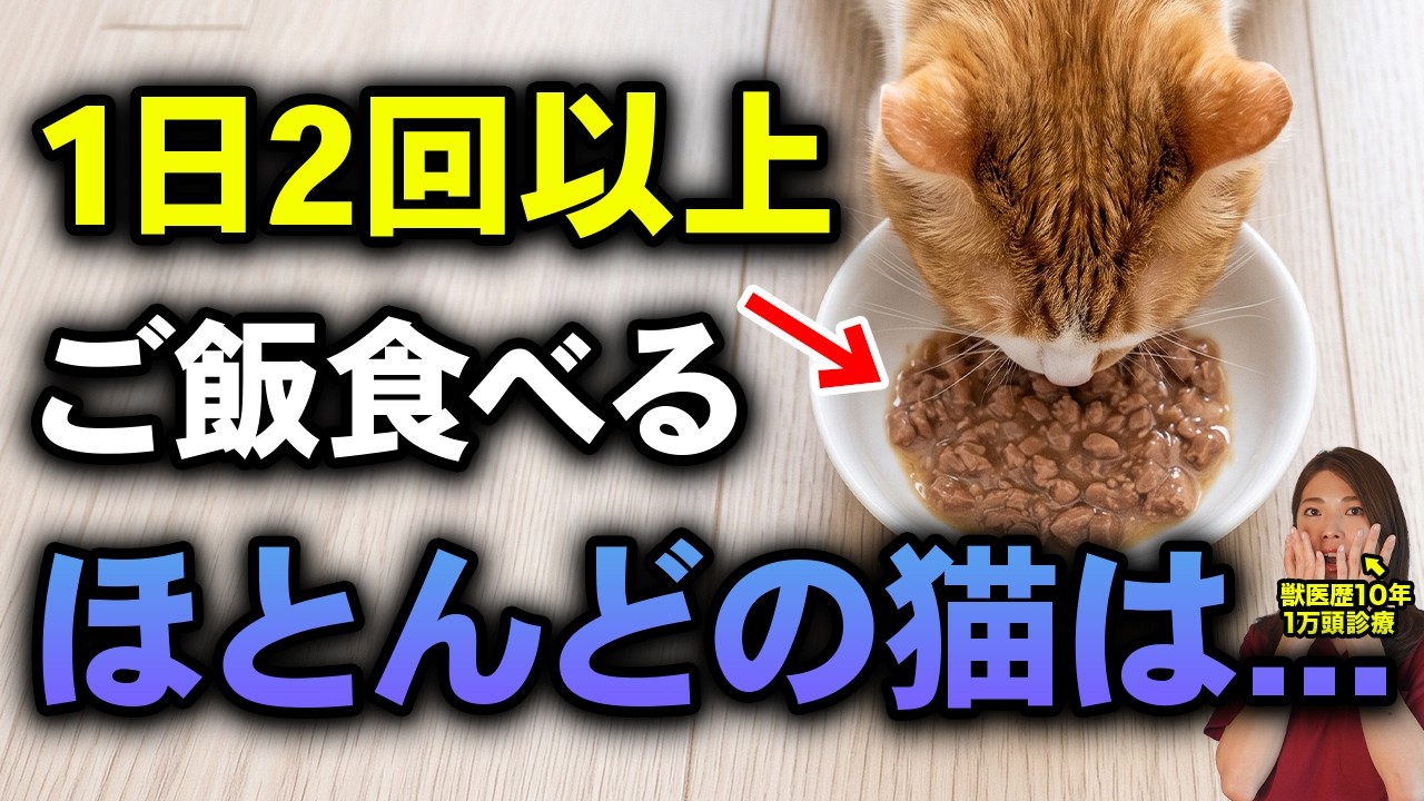 ワンコママページ YouTube