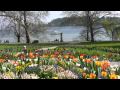 Frühling auf der Insel Mainau