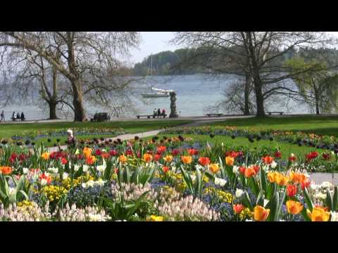 Frühling auf der Insel Mainau