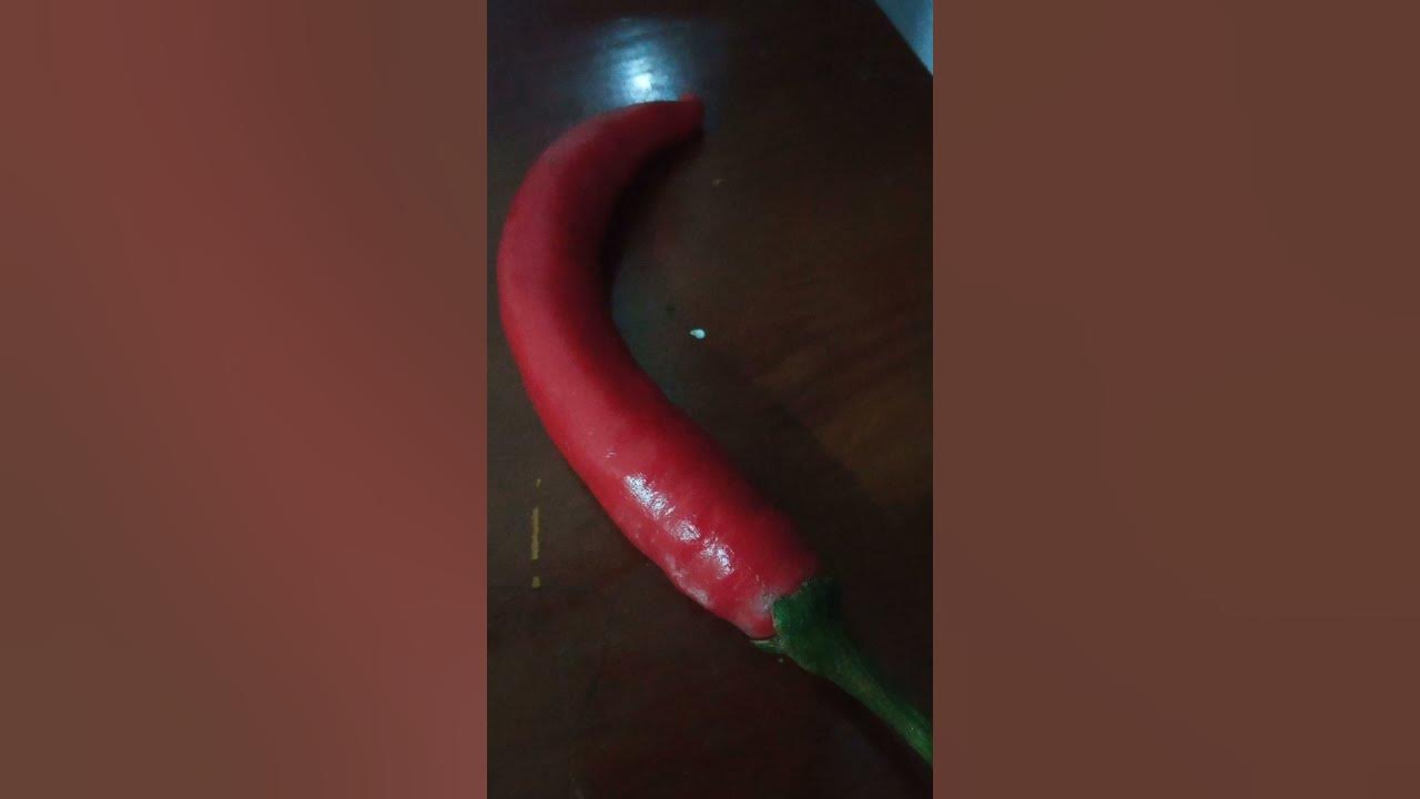 chilli-from-wacky-wizards-youtube