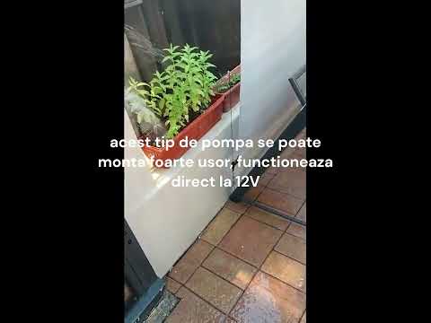 ผลสลากกินแบ่งรัฐบาล วันที่ 1 พย. 2567