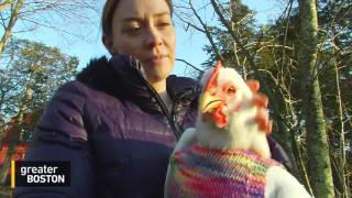 Fowl Weather Friends