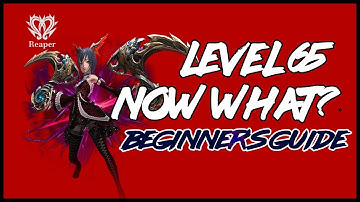 Tera: Lvl 65 Beginner