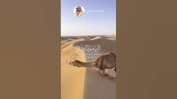 الشيخ ماهر المعيقلي #explore #قرآن #قران_راحة_نفسية #لايك #سورة_الماعون   #اكسبلور