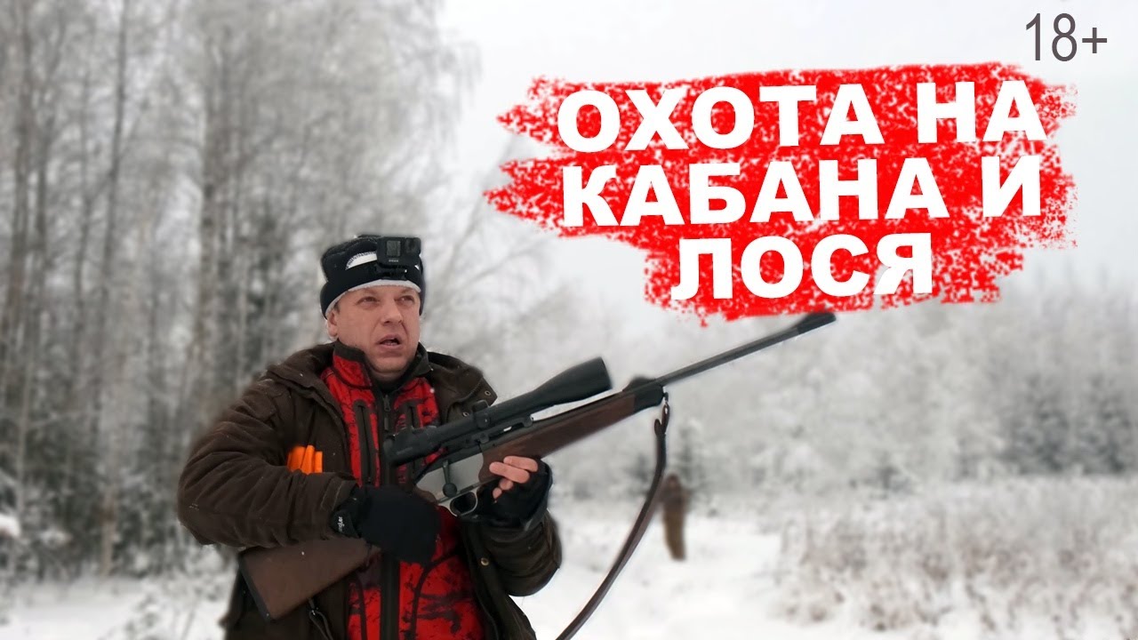 Охота на кабана и лося. Взял кабана ножом. Десять лосей вышли с загона.