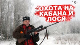 Охота на кабана и лося. Взял кабана ножом. Десять лосей вышли с загона.