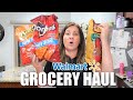 MASSIVE WALMART GROCERY HAUL | Summer Walmart Haul | Online Grocery Shopping for Snacks and Recipes
