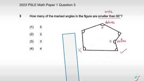 Ruler Corner Hack 2023 PSLE Math Paper 1 Question 3