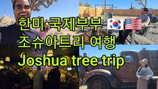 (Eng Sub)한미 국제부부 LA일상 | 조슈아트리 여행🌵 | Joshua tree trip |