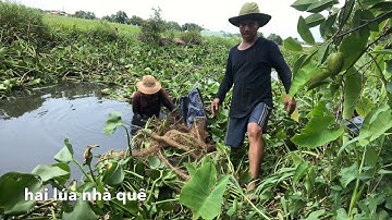 lưới cá và kết quả , fish net, fishing, hai lúa nhà quê ;# 11