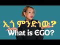 ßèóßîÄ ßêØßèòßïÁßèÉßïì What Is EGO Part 1 ßèóßîÄ ßêØßèòßïÁßèÉßïì What Is EGO Part 1