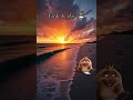 🏝️ playita #colombia #01tendencias #bogota #feliz #amor #castores #playa
