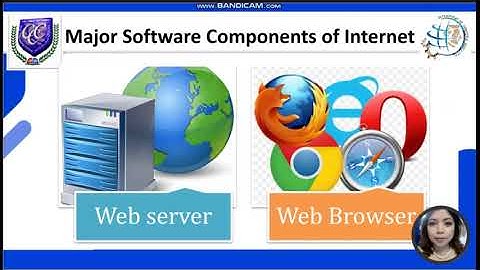 WDP Lesson 1 Internet Essentials Part 2