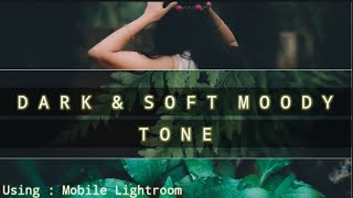 How To Edit Dark & Soft Moody Tone In Lightroom Mobile. screenshot 4