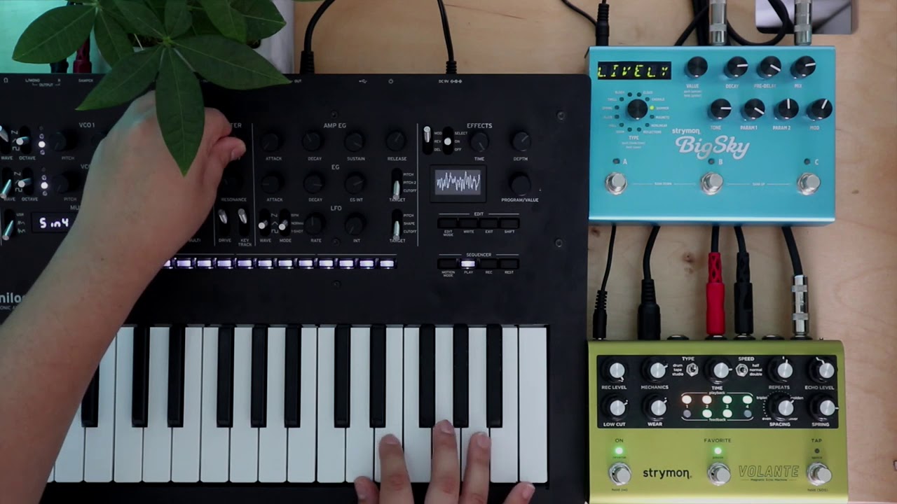 Minilogue XD - Tiny Overture Nº 4