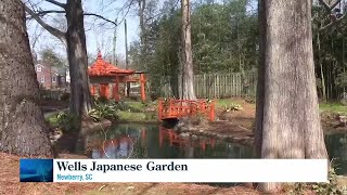 Hidden gem: Wells Japanese Garden in Newberry