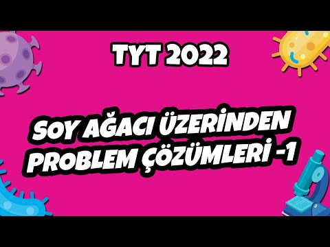 TYT Biyoloji - Soy Ağacı Üzerinden Problem Çözümleri -1 | TYT Biyoloji 2022 #hedefekoş