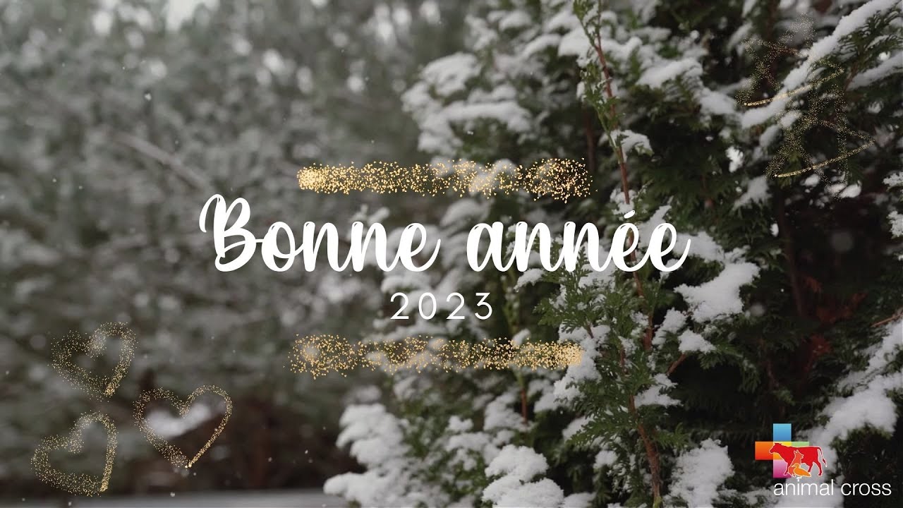 Animal Cross vous souhaite une excellente année 2023 🎉