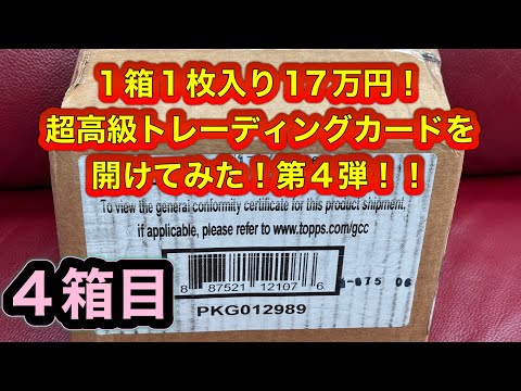MLB 2023 TOPPS DYNASTY BASEBALL HOBBY 超高級トレーディング